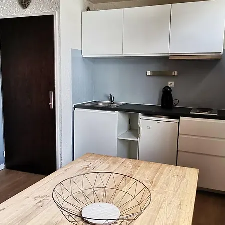 T2 Cosy, Pieds Des Pistes 4 Pers. Centre Station * Les Deux Alpes