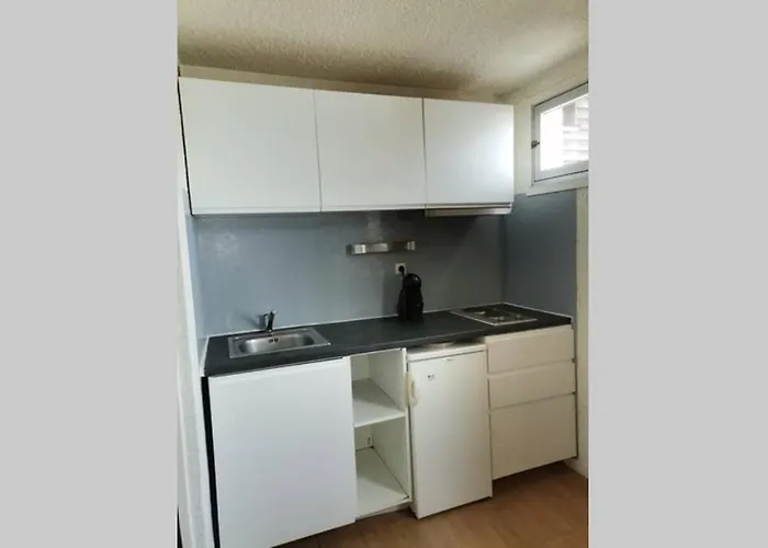 T2 Cosy, Pieds Des Pistes 4 Pers. Centre Station Appartement